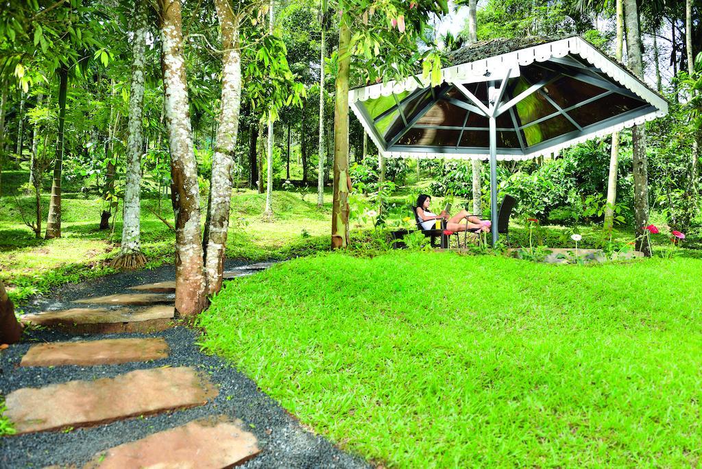 The Woods Resorts Wayanad Султан-Батері Екстер'єр фото