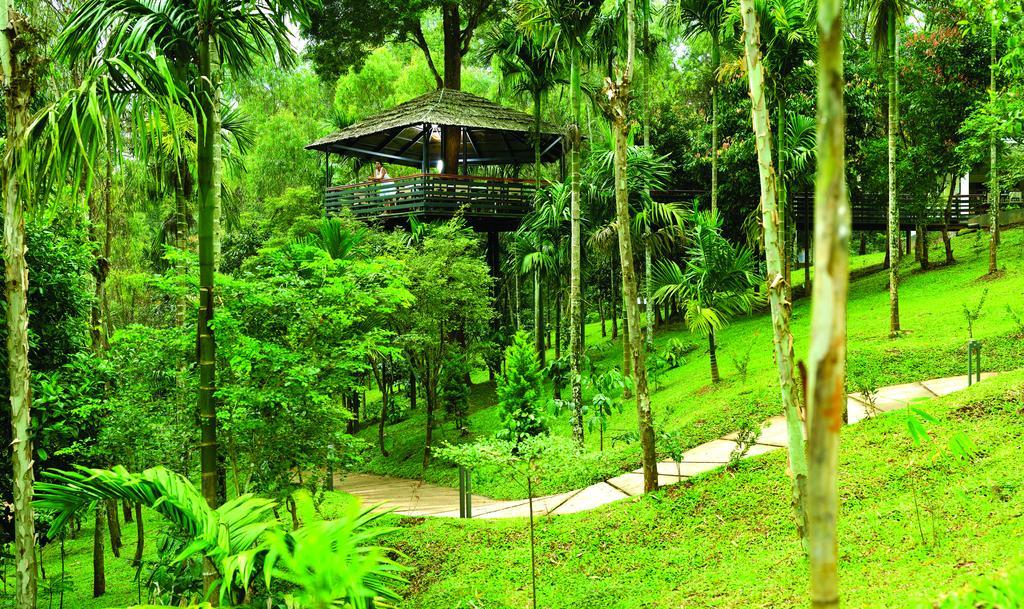 The Woods Resorts Wayanad Султан-Батері Екстер'єр фото