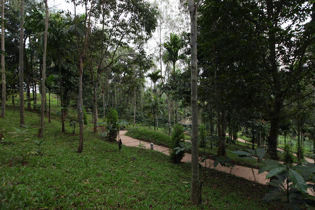 The Woods Resorts Wayanad Султан-Батері Екстер'єр фото