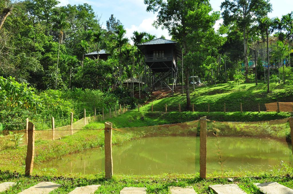 The Woods Resorts Wayanad Султан-Батері Екстер'єр фото