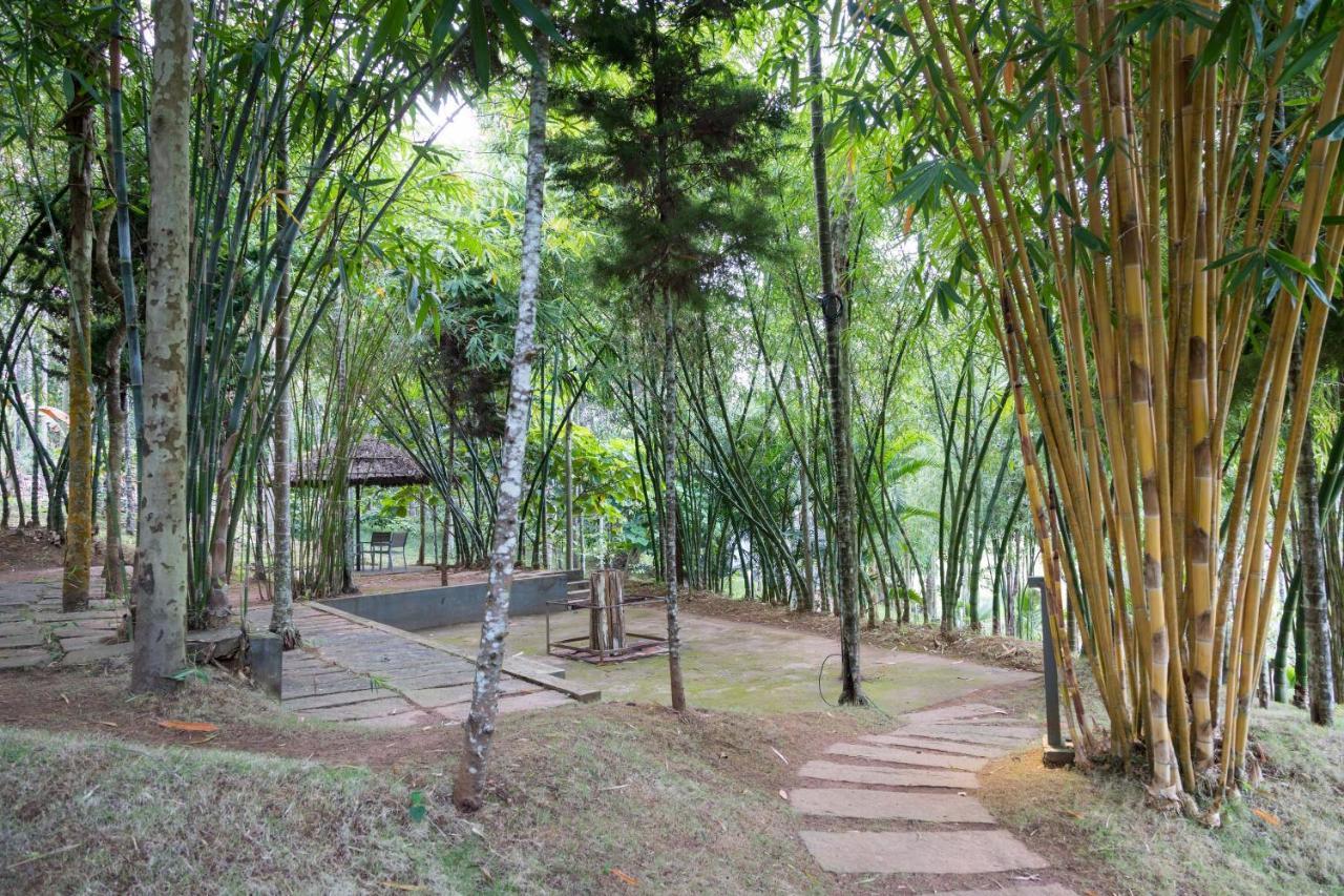 The Woods Resorts Wayanad Султан-Батері Екстер'єр фото