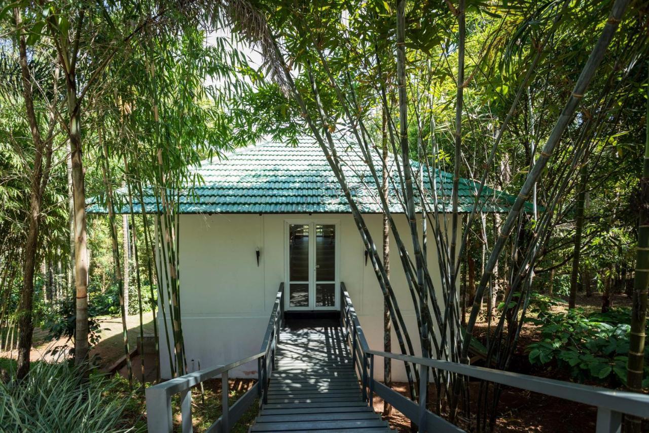 The Woods Resorts Wayanad Султан-Батері Екстер'єр фото